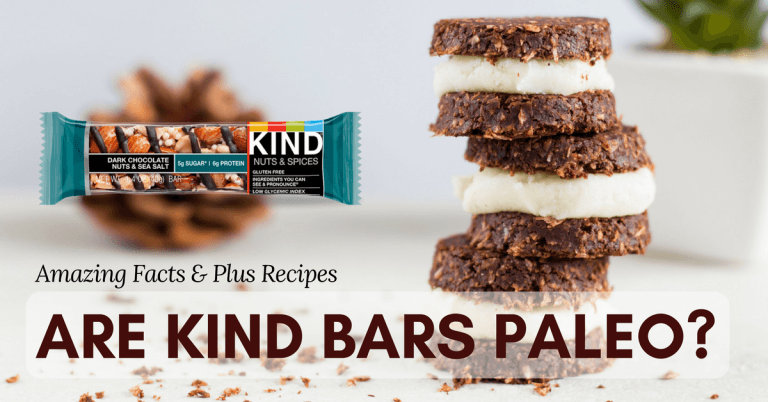 are-kind-bars-paleo-amazing-facts-about-kind-bars-plus-recipes