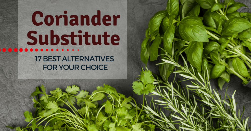 coriander-substitute-17-best-alternatives-for-your-choice